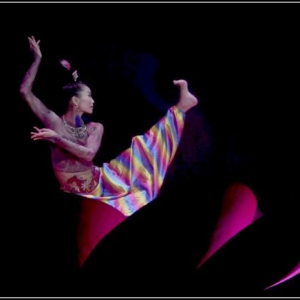 杨丽萍《荷花度母》独舞赏析