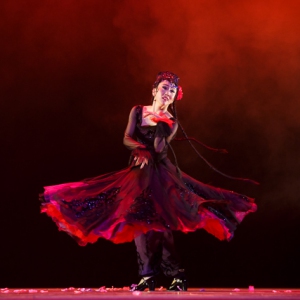 舞蹈鉴赏<花儿为什么这样红>青年舞蹈家苟婵婵代表作（图+视频）