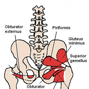 【专业芭蕾外开教学】关于芭蕾外开与正确的练习方法