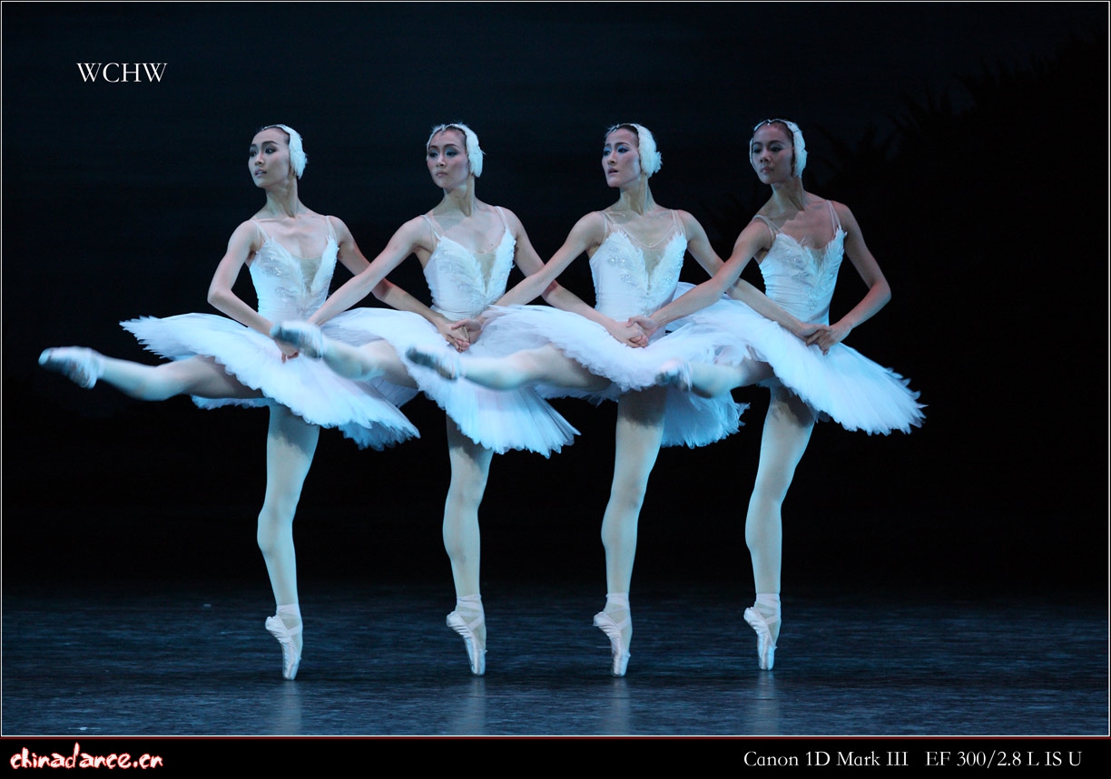 哈尔滨芭蕾舞团两年化茧成蝶