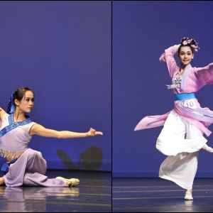 中国古典舞身韵的审美与教学