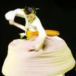 朝鲜族女子独舞《扇骨》舞蹈赏析