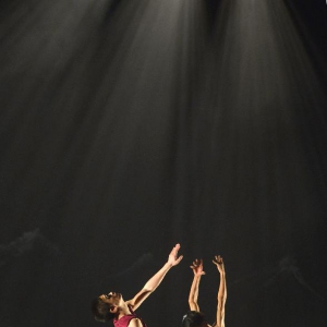 北京当代芭蕾舞团作品《野草》纽约布鲁克林预演（多图）
