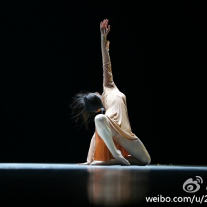 第九届中国舞蹈“荷花奖”当代舞 现代舞评奖第一场《心尘》