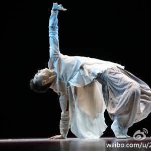 第九届中国舞蹈“荷花奖”当代舞 现代舞评奖第一场 《行·禅》