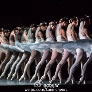 捷克国家芭蕾舞团新版《舞姬》官网高清大图