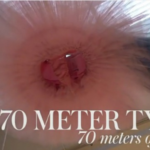 瑞典皇家芭蕾舞团 如何制作一条芭蕾舞裙（视频）