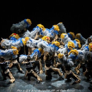 《绽放》上海师范大学舞蹈团15周年原创舞蹈专场