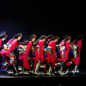 浅谈中国藏族民间舞蹈的动作特征