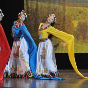 藏族舞蹈的审美艺术特点