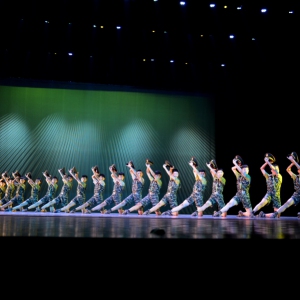 【院校介绍】中国人民解放军艺术学院舞蹈系