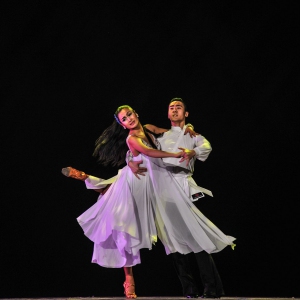 郑州科技学院国标舞系2015年汇报演出（组图）