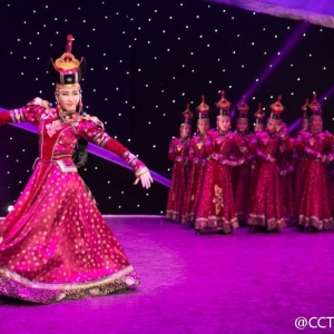 CCTV-3舞蹈世界：内蒙古大学艺术学院舞蹈系2011级毕业生专场晚会