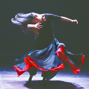 从舞者到舞星的跨越 ——对当代舞蹈艺术工作者生存的思考