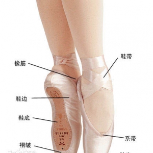 【足尖鞋大解密】芭蕾舞鞋的构造解析