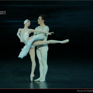 关于古典芭蕾舞中基训教学的重要特点