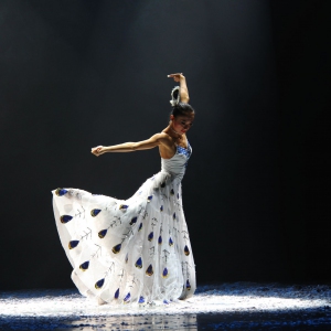 【民族舞蹈教学】学跳原汁原味的傣族舞（视频讲解）