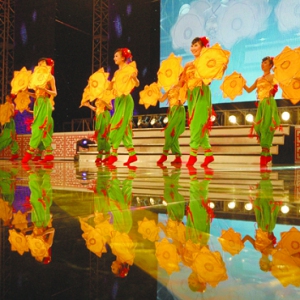 【舞蹈视频教材】民族民间舞蹈 东北秧歌训练组合视频