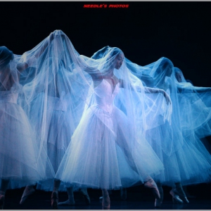 只有舞蹈生才懂。。。。