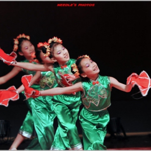【中国舞蹈知识】汉族民间舞蹈的种类和特点