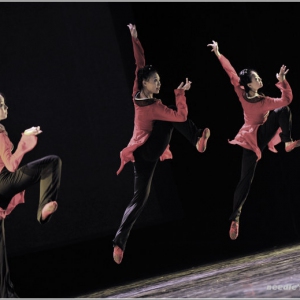 学习中国古典舞需要的能力