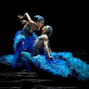 舞蹈，原本是献给自己的爱情