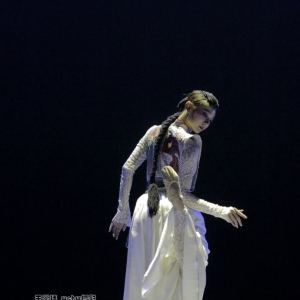 中国东方演艺集团舞蹈晚会《天涯若比邻》踏上异国风情的曼妙之旅（视频合集）