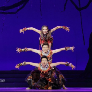 中国东方演艺集团原创大型歌舞诗《水墨中华·雅》清新淡雅（视频合集）