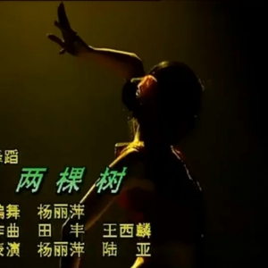 相亲相爱的《两棵树》（杨丽萍/陆亚双人舞蹈鉴赏）