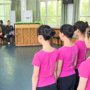 （视频）东北秧歌基础教学课 广东外语职业艺术学院舞蹈系