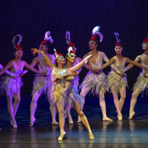 【图文视频】原创舞剧《丹顶鹤》用艺术诠释人与自然和谐相处