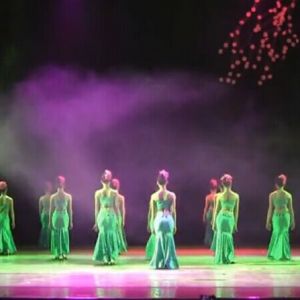 女子舞蹈·杭州艺校浙江传媒学院舞蹈专业2012级晚会（视频）