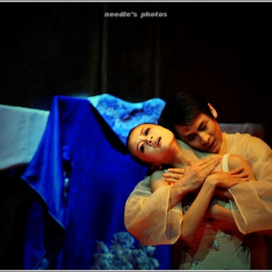 舞蹈演员的艺术修养：“细”字当头