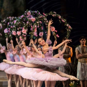 芭蕾舞为什么那么美！