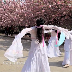 【翩若惊鸿 宛若游龙】古典惊鸿舞（大合集）