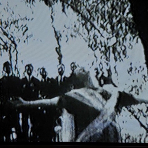 张晓雄：邓肯的遐想