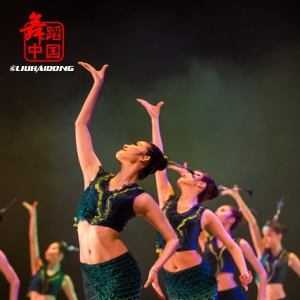 【每日一舞】北京舞蹈学院傣族舞蹈《灵》散发出孔雀的高贵和灵动！