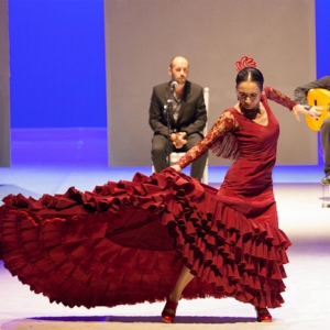 为什么专业的舞蹈演员记动作的速度那么快?