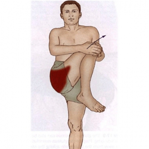 热身很重要：盆部和大腿肌肉的拉伸方法（组图）