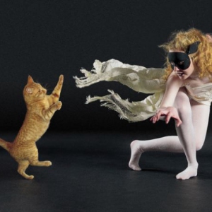国外书籍《与猫共舞》记录他们和宠物一起跳舞的精彩瞬间（组图）