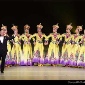 【每日一舞】蒙族歌舞《鸿雁》悠扬绵长，美仑美奂！