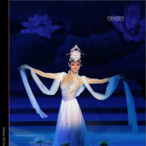 【每日一舞】柔情似水《荷花赋》这舞蹈，太美！