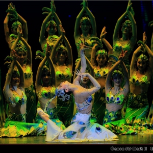 【每日一舞】中国东方演艺集团傣族舞蹈《吉祥孔雀》美得像夜明珠！