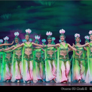 【每日一舞】中国歌舞剧院女子群舞《出水莲》我是佛前的一朵莲花