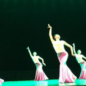 江苏省戏剧学校2010级中国舞表演专业学生毕业晚会（视频）