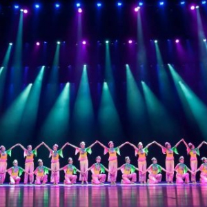 黄河科技学院原创舞蹈《编》入选第十届“荷花奖”