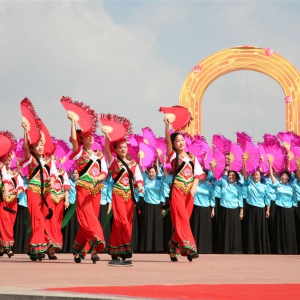 民族舞在线分解教学：藏族舞、云南花灯、佤族舞（视频）