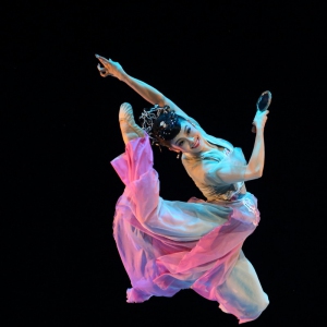 第三届北京国际芭蕾舞暨编舞比赛开幕式（美图欣赏）