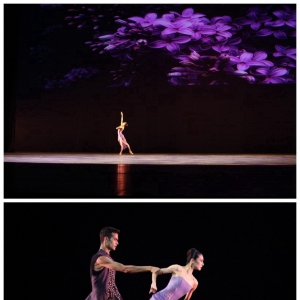谭元元《融入紫丁香》第三届北京国际芭蕾舞暨编舞比赛巨星荟萃的芭蕾Gala