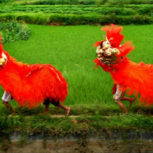 四川省泸县的汉族传统舞蹈——玄滩狮舞